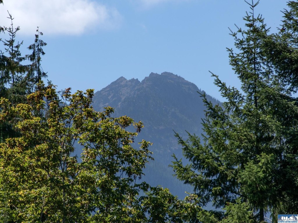 Picture 37
