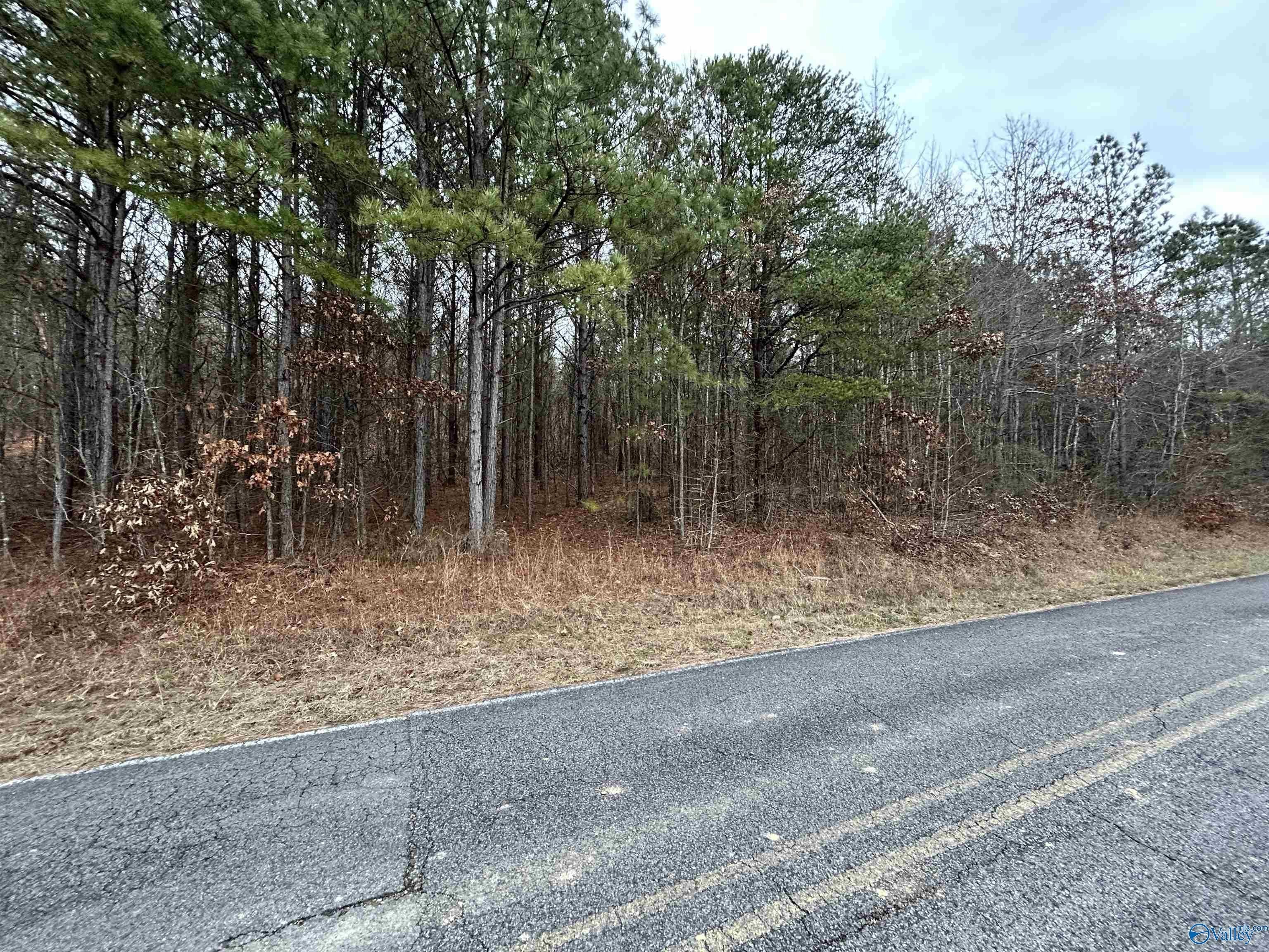 Wooded Land Near Weiss Lake