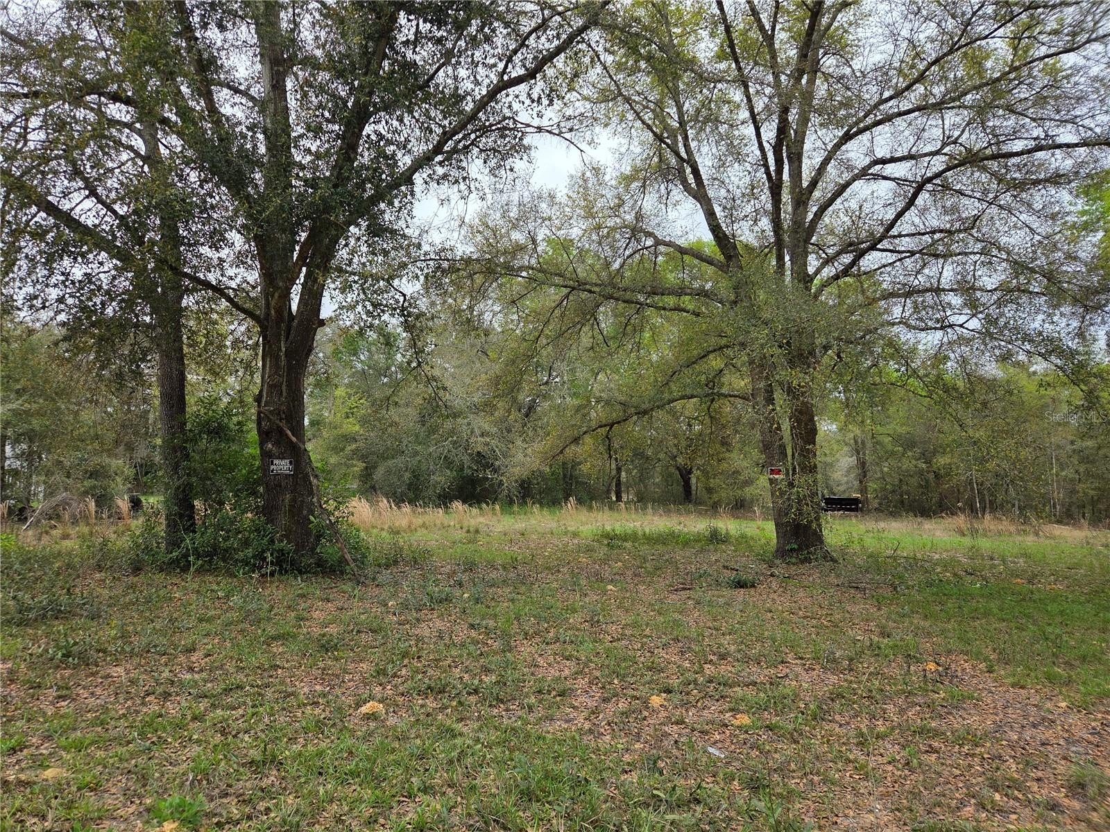 Land - WILLISTON, FL