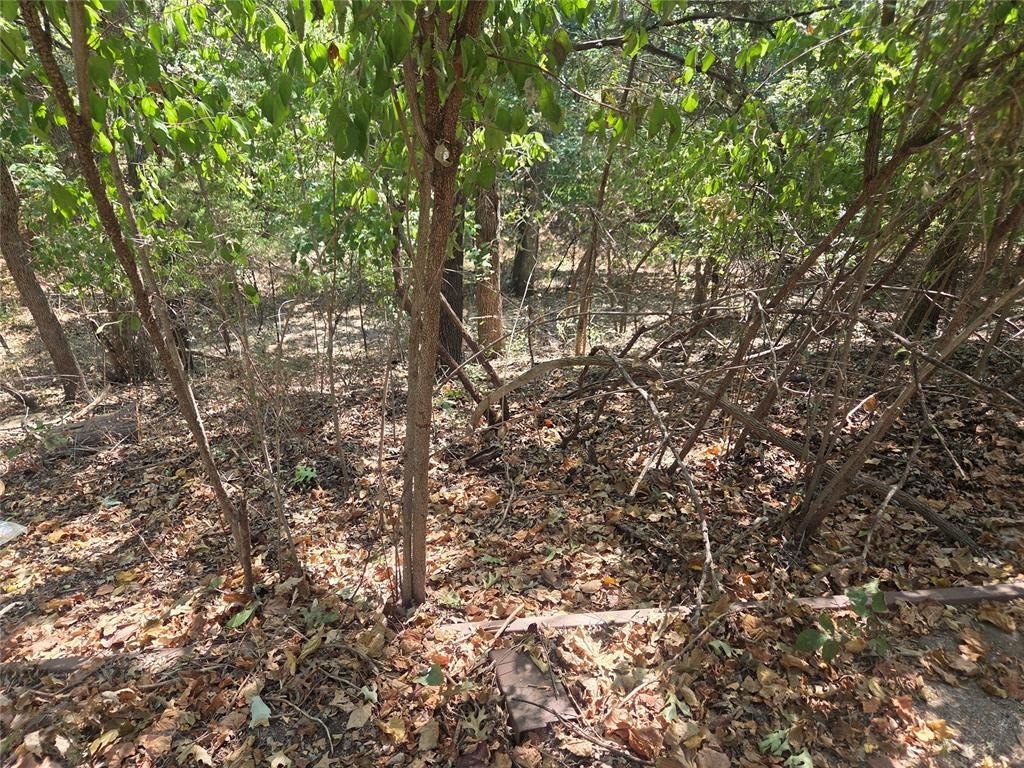 Picture 23