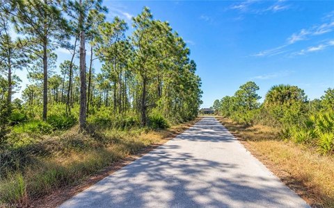 Land, LEHIGH ACRES, FL