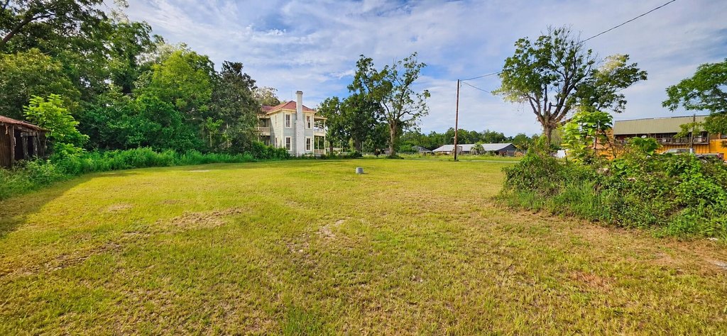 Picture 5