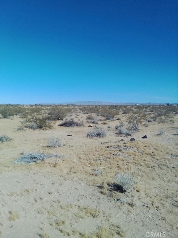 Picture 4