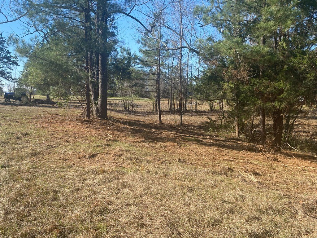 Picture 17