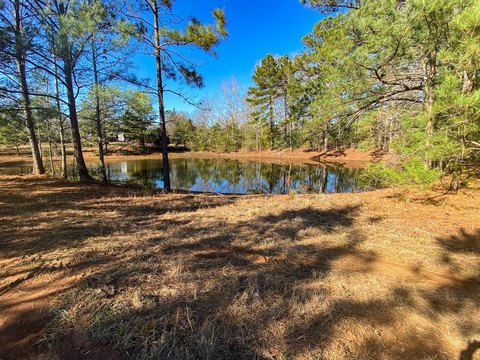 Nacogdoches Land with North Street Frontage