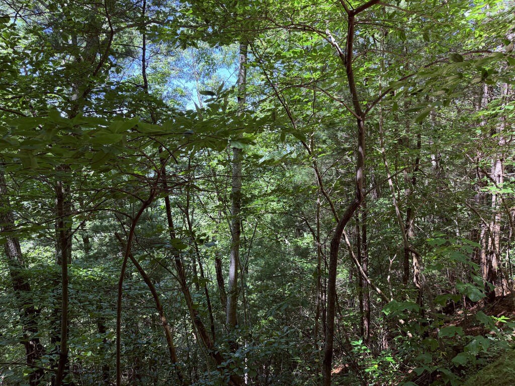 Picture 10