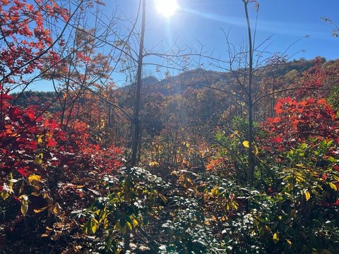 Land in Gated Community