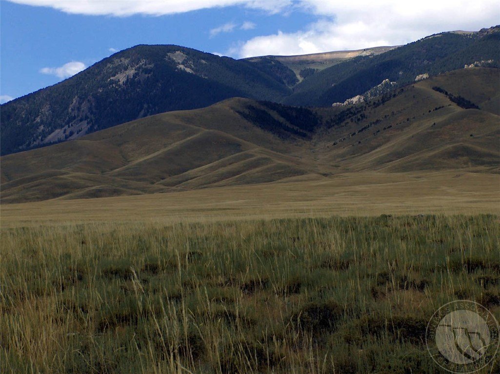 Belfry Land Near National Forest