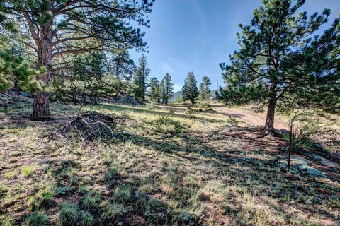 LAND - Estes Park, CO