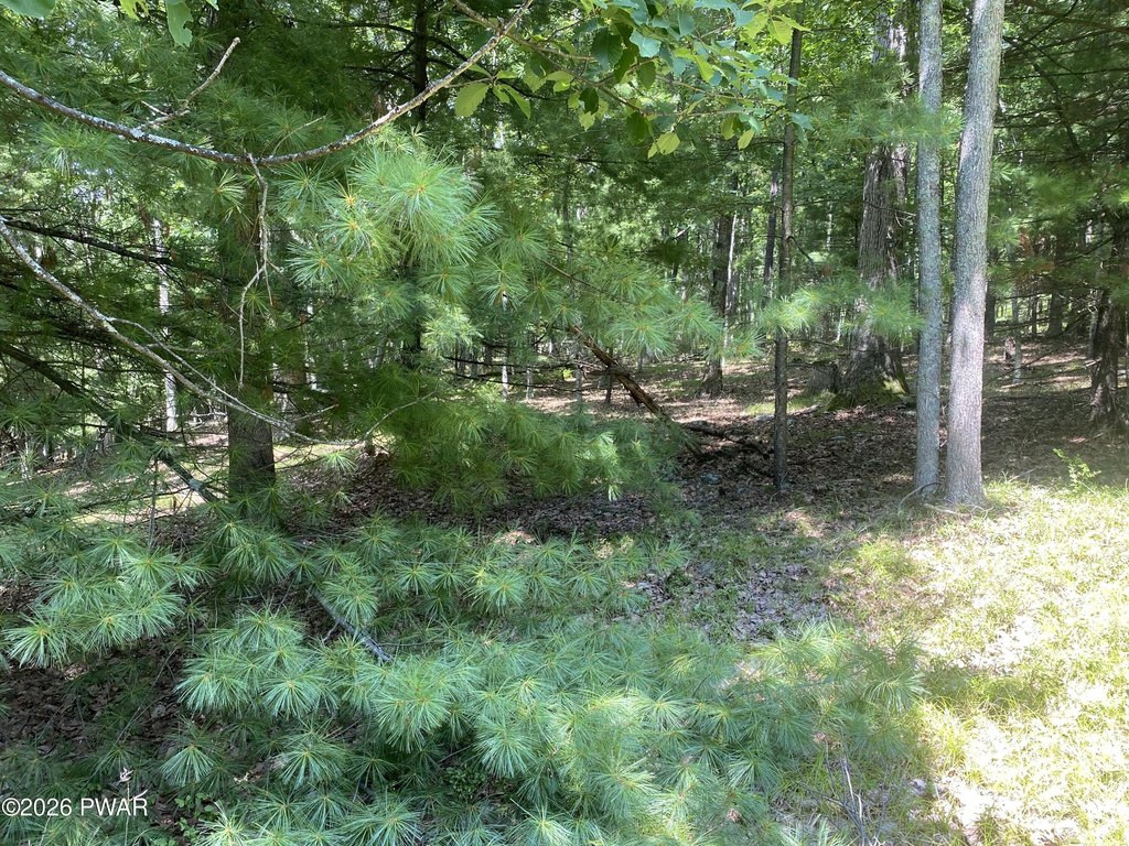 Picture 8