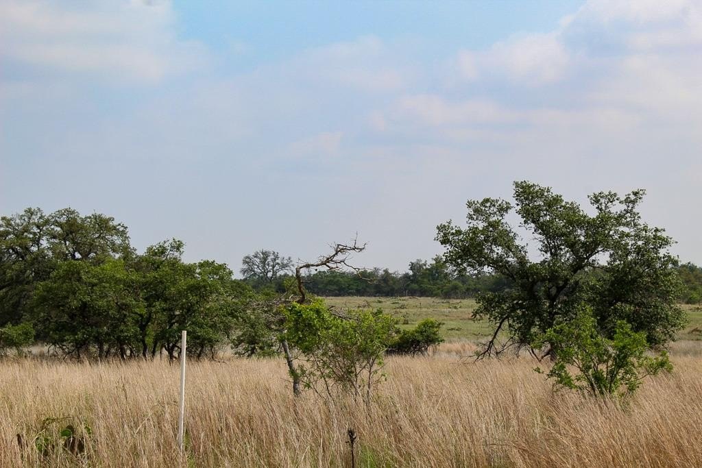 Harper, TX Land Opportunity