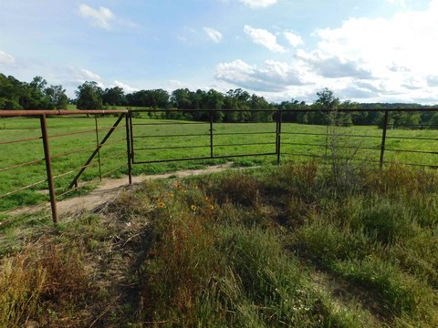 LAND - Big Sandy, TX