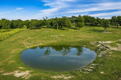 Land with Pond Near Fredericksburg