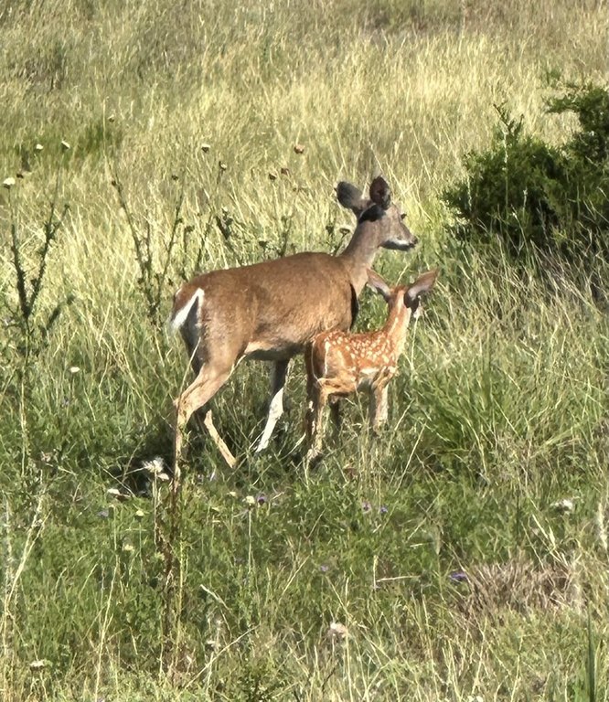 Picture 29