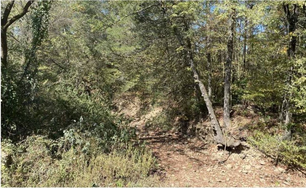 Picture 4
