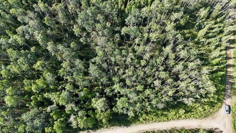 LAND - Delta Junction, AK