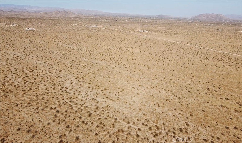 Joshua Tree Land Parcel