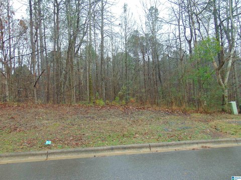 Residential Lot in Birmingham, AL