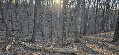 Fairfield Glade Wooded Lot