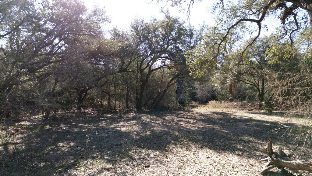 Picture 19