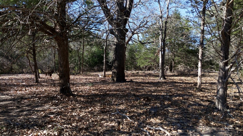 Picture 29