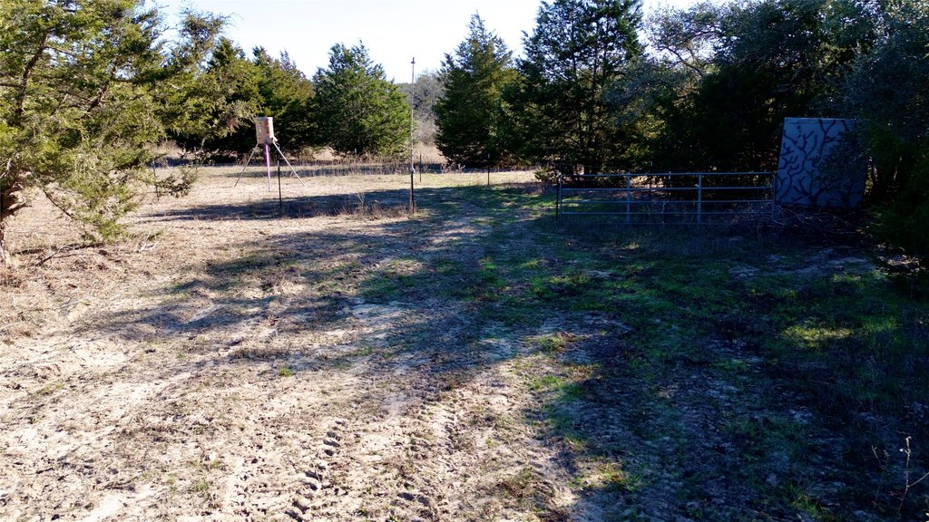 Picture 8