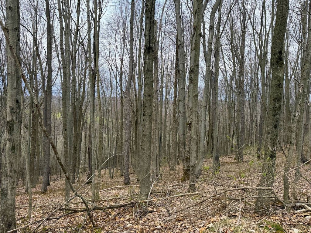 Picture 23