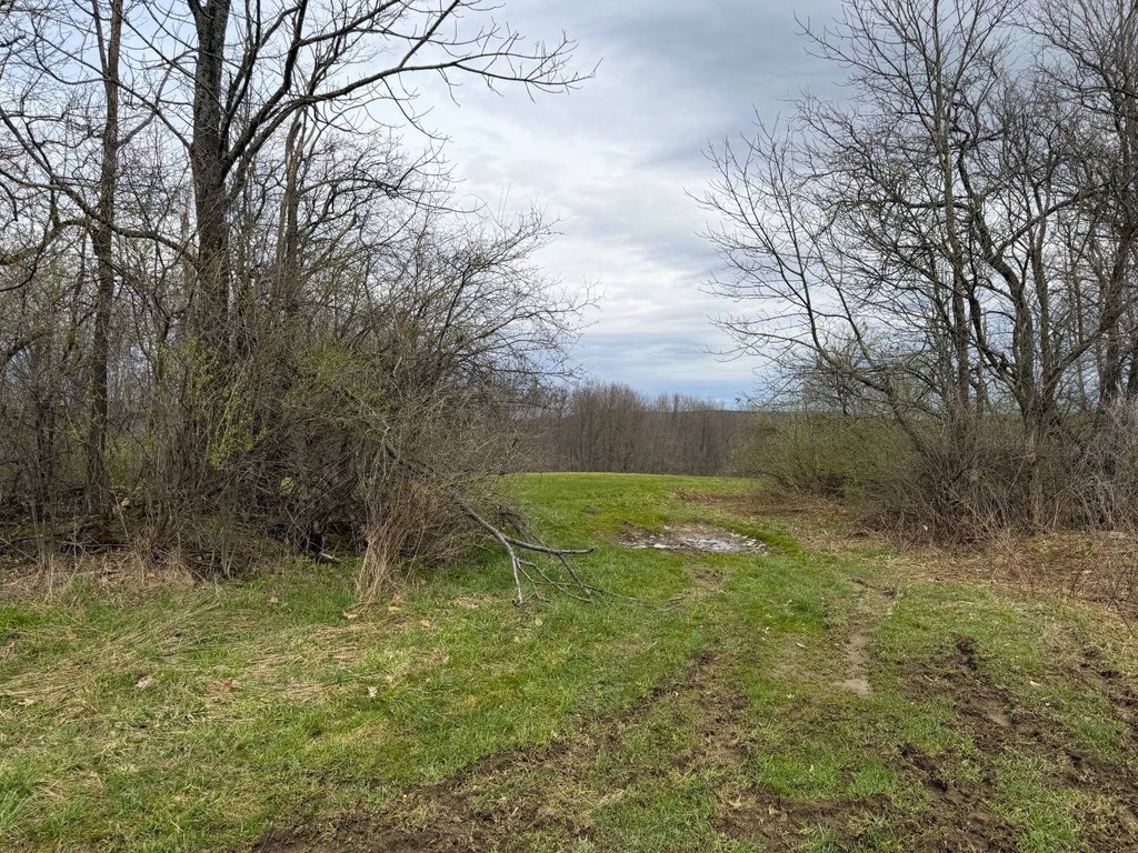 Picture 26