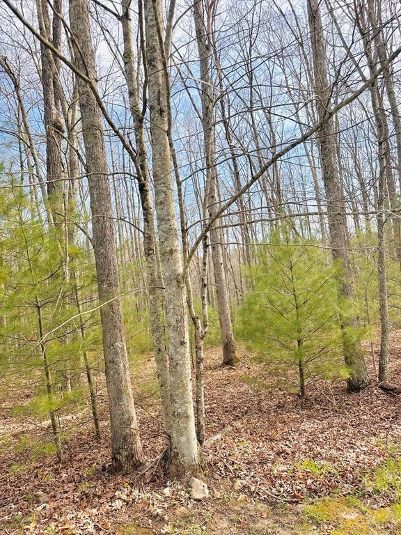Picture 6