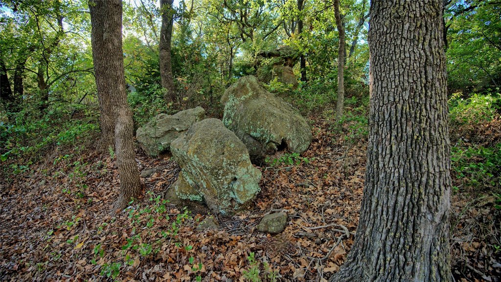 Picture 28
