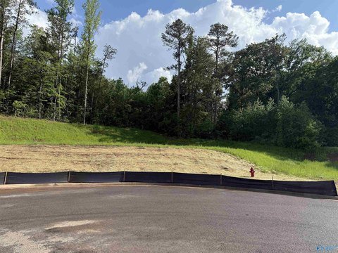 Residential Land in Browns Valley Cove