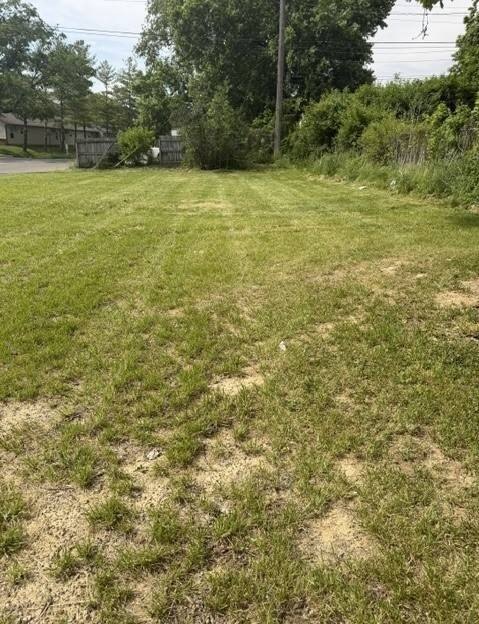 Picture 4