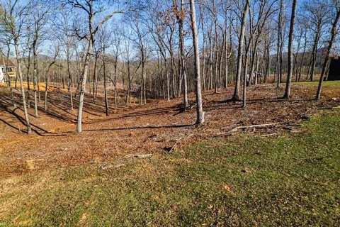 Morganton, GA Vacant Mountain View Lot