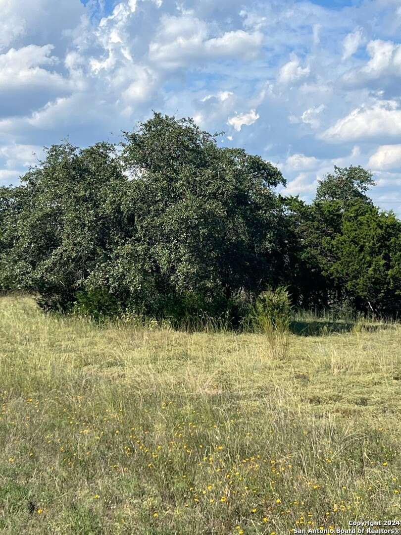 Residential Land in Spring Branch