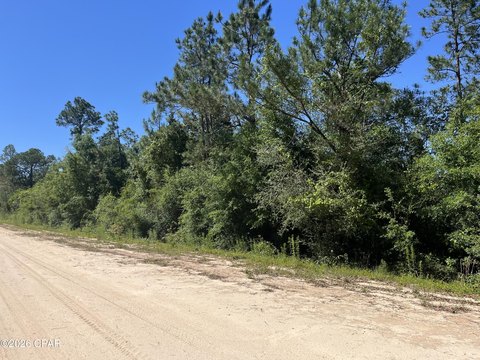LAND - Alford, FL