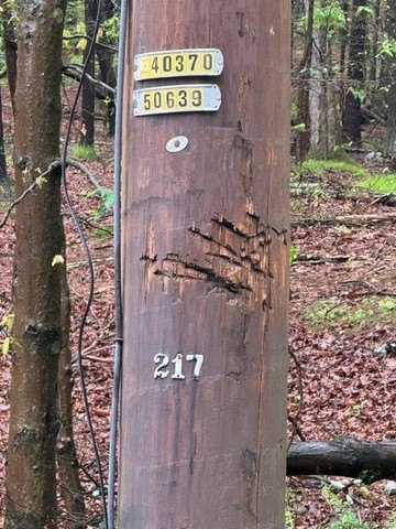 Picture 11