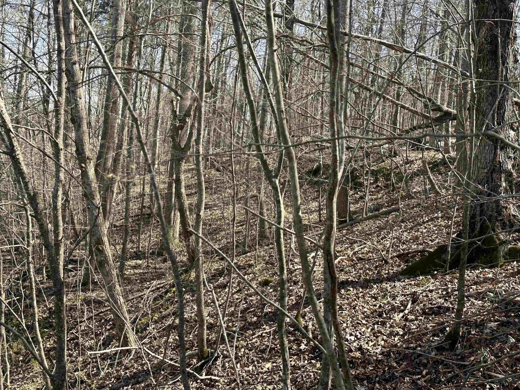 Picture 13