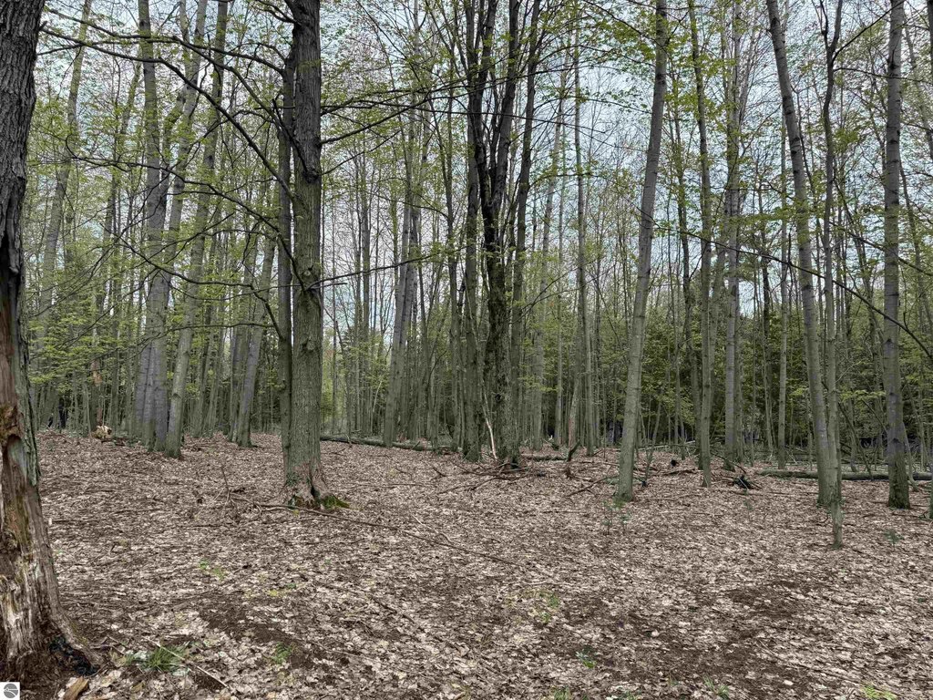 Picture 29