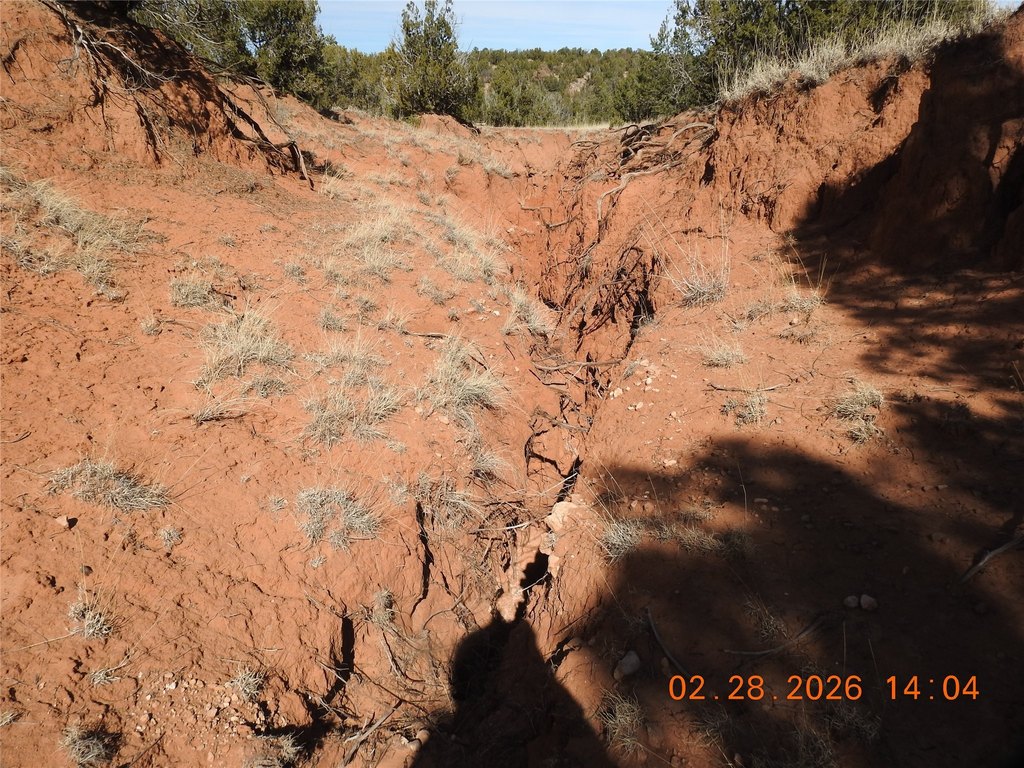 Picture 24