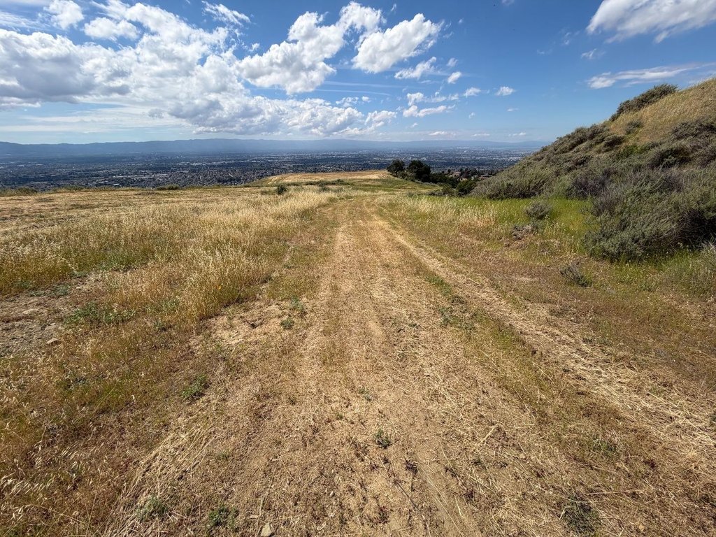 Picture 24