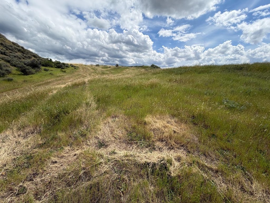 Picture 20