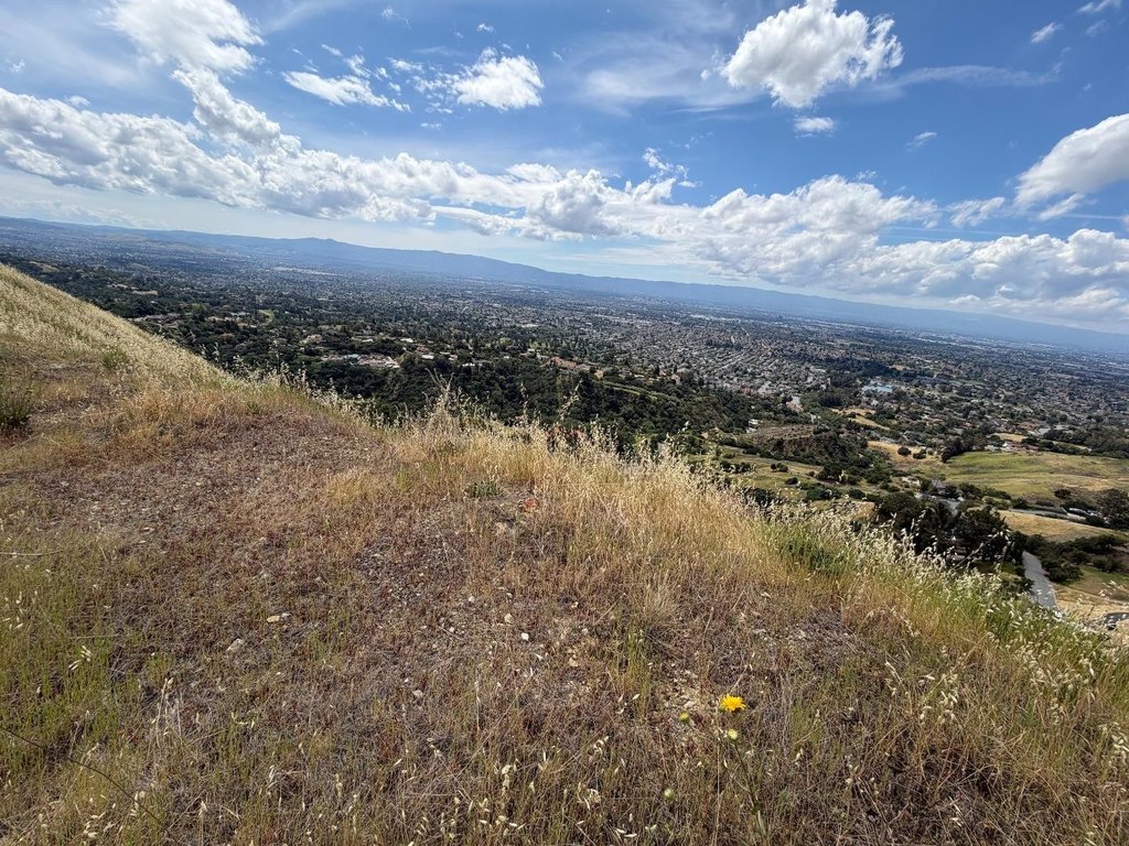 Picture 18