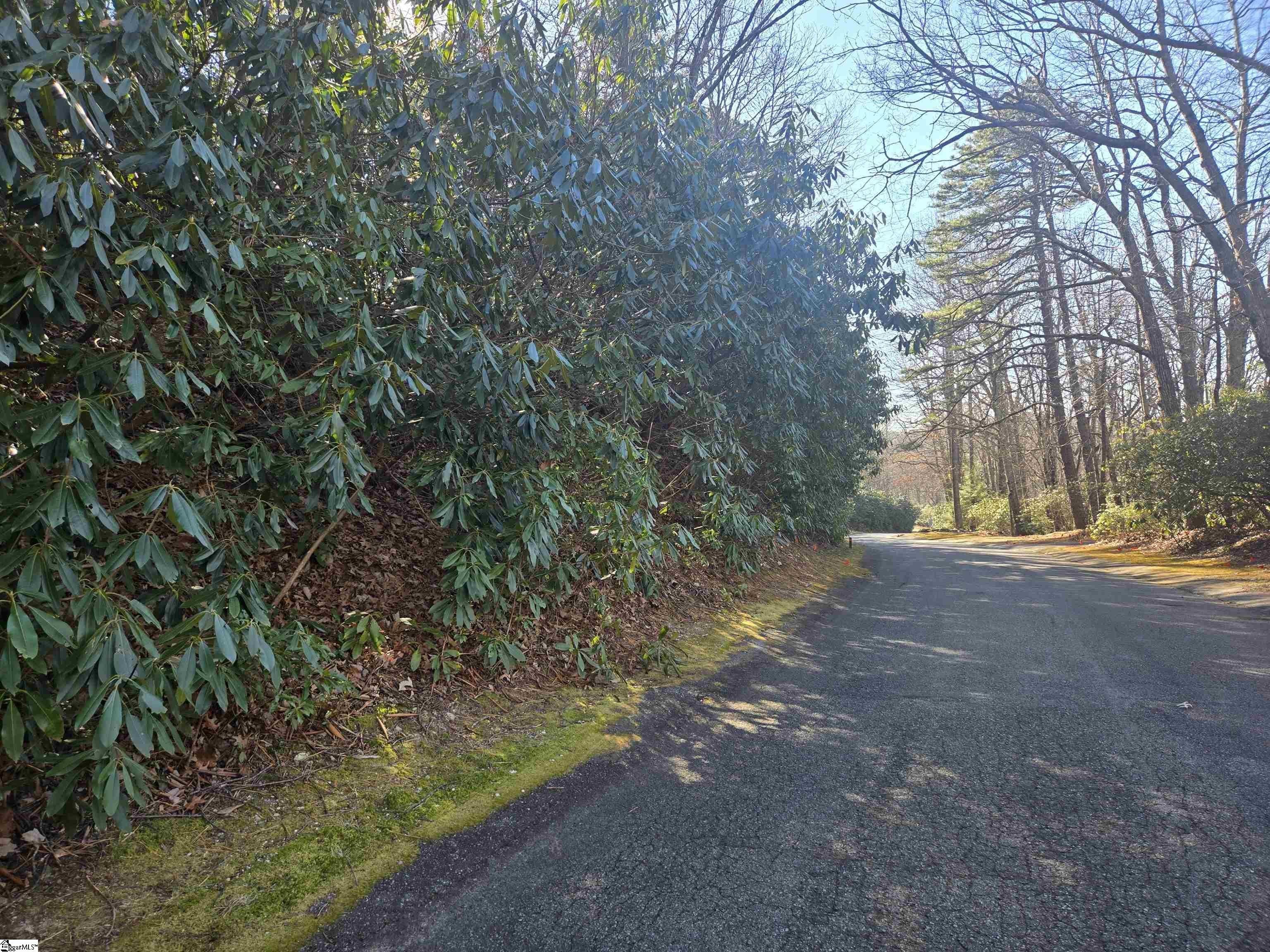 Wooded Lot in Gated Community