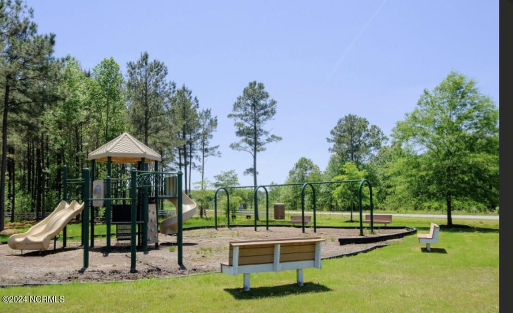 Picture 11