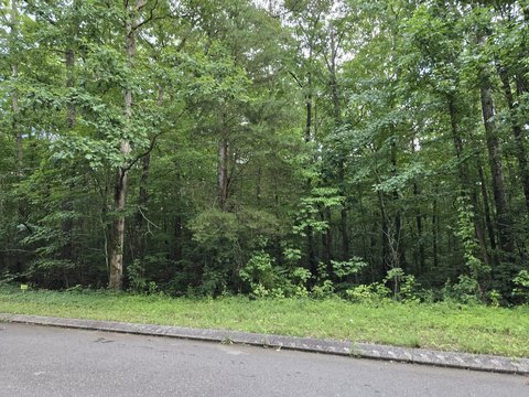 LAND - Dunlap, TN
