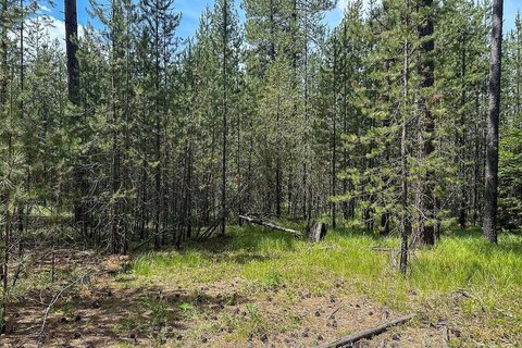Valley, WA 5-Acre Land