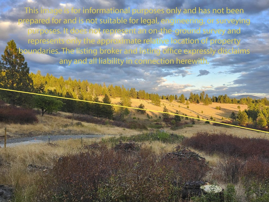 Picture 24