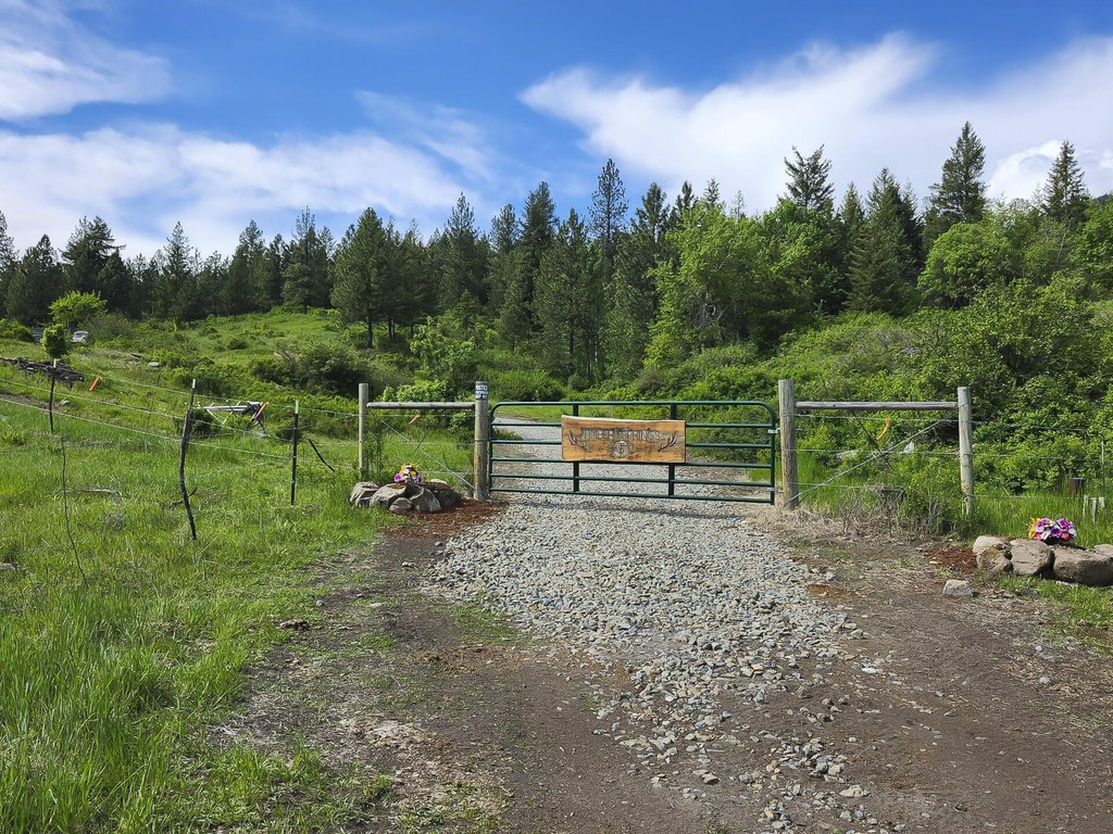 Picture 21
