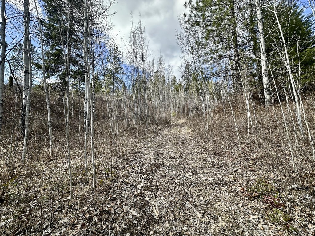 Picture 30
