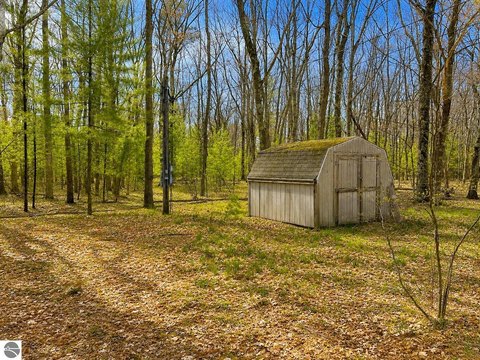 Wooded Lot Near Interlochen Amenities